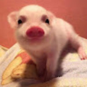 Meet your Posher, Cindy